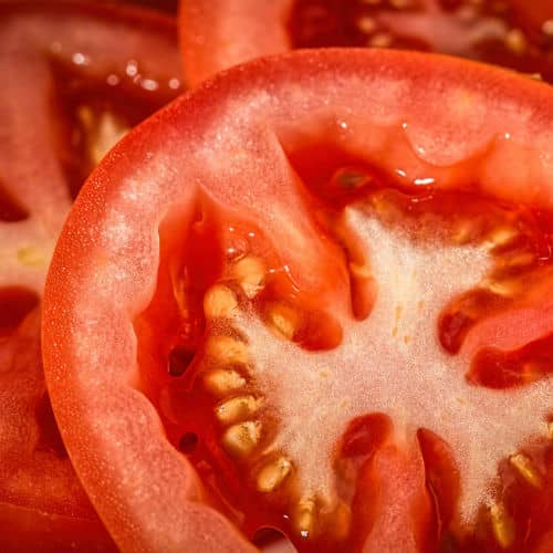 Tomaten broodje hamburger