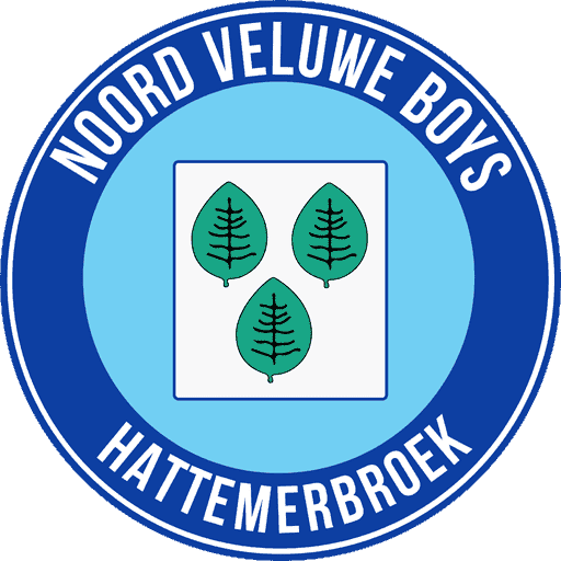 NoordVeluweBoys