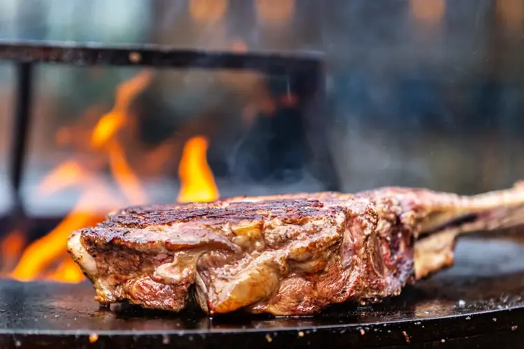 stuk vlees op de barbecue