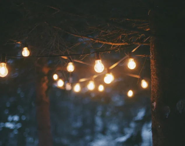 Een lichtslinger rond bomen